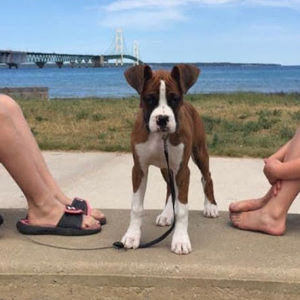 Meet your Posher, Maddy